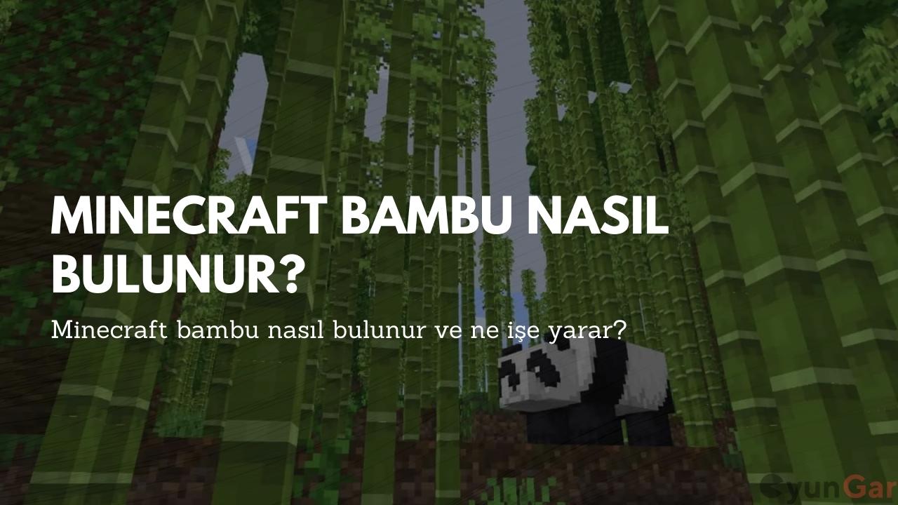 Minecraft Bambu Nasıl Bulunur